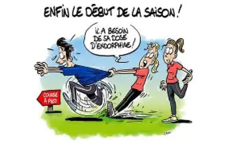 REPRISE DES ACTIVITES